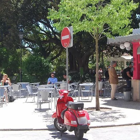 Trendy Downtown